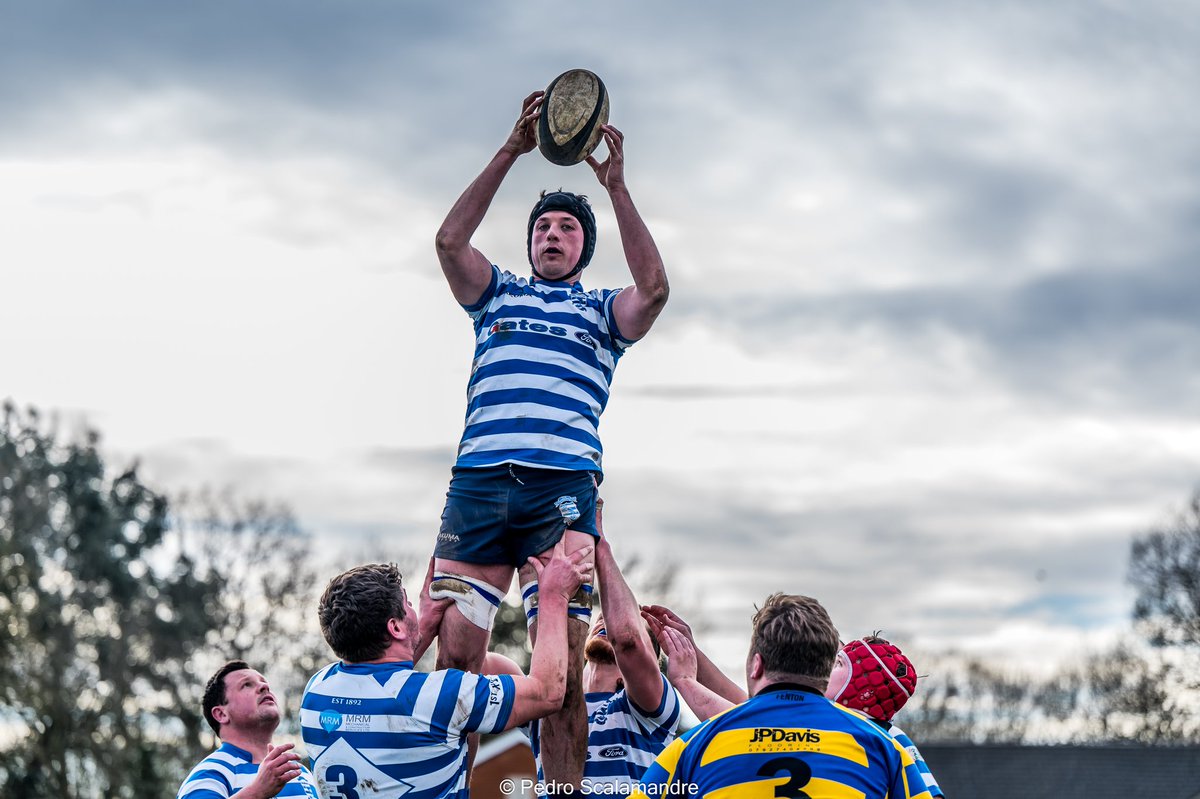 Pedro Scalamandre tweet media