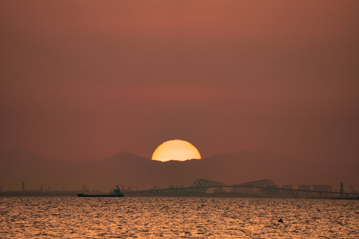 PALVOPHOTO's tweet photo. 検見川浜からの夕陽と夜景

急いで機材を車に取りに戻ったけどまん丸には間に合わなかった…

夜景は手持ちでSSは 1/10
なかなかの手ブレ補正

#検見川浜 
#夕陽 
#夕焼け 
#夜景 
#東京湾
#東京タワー 
#東京ゲートブリッジ https://t.co/VFBFqluv2G