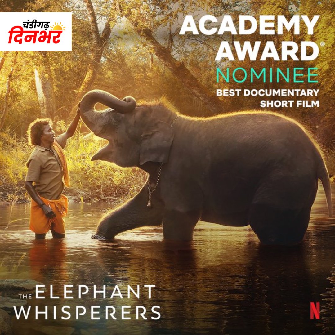 Chdinbhar's tweet image. भारत ने 95वें अकादमी पुरस्कारों में इतिहास रचा। कार्तिकी गोंजाल्विस द्वारा निर्देशित और गुनीत मोंगा द्वारा निर्मित द एलिफेंट व्हिस्परर्स ने 95वें अकादमी पुरस्कारों में सर्वश्रेष्ठ वृत्तचित्र लघु विषय का पुरस्कार जीता है। 
#Oscars #shortdocumentary #TheElephantWhisperers #Oscar95