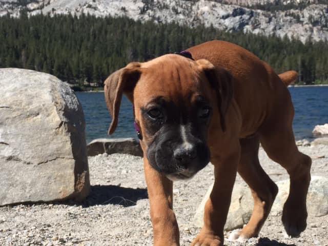 mandi perkins tweet media