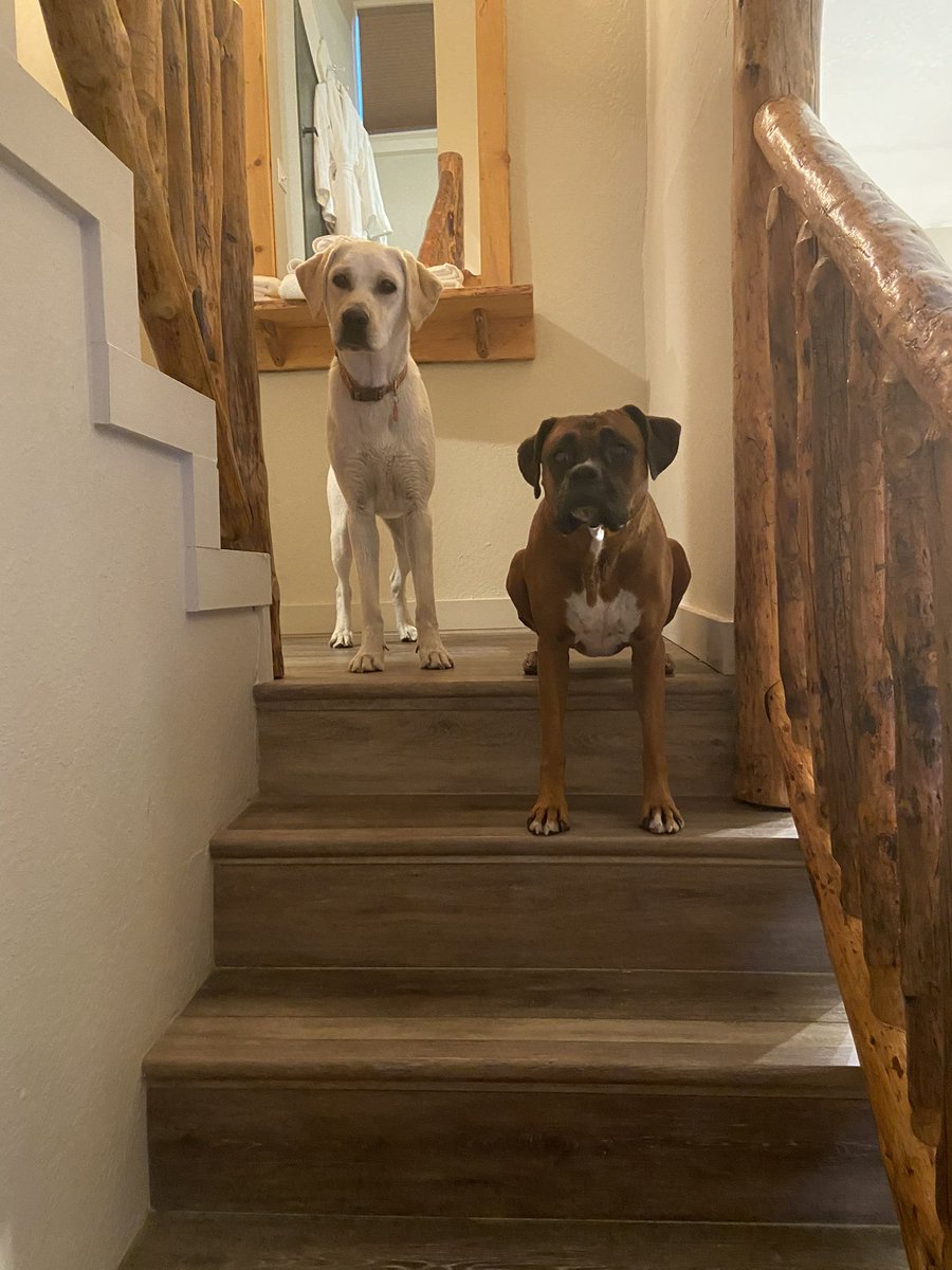 mandi perkins tweet media