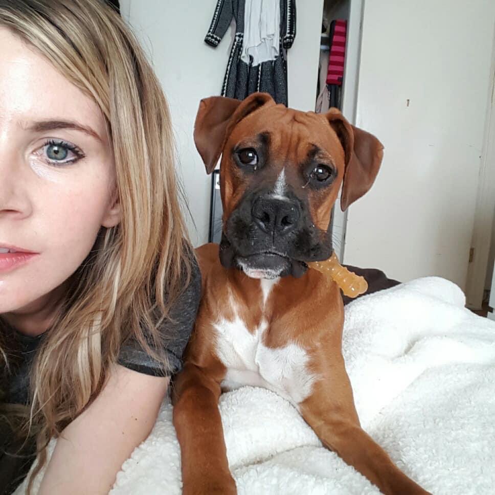 My dog maizy’s <a href="/tiktok_us/">TikTok US</a> account was deleted b/c as a 7.5 year old boxer, she didn’t meet the age requirement. I can’t even access the beautiful videos of her. She’s had 4 surgeries &amp; is my best friend. So I’m Gutted. Anyone else banned 4 no reason? <a href="/TikTokSupport/">TikTokSupport</a> #maizytheboxer