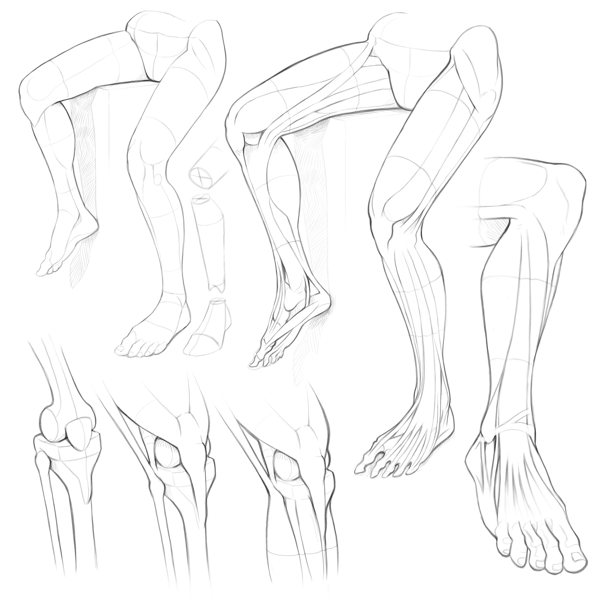 Arm Reference Drawing