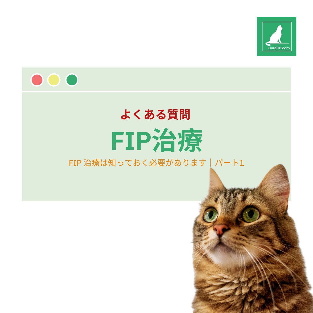 CureFip's tweet photo. よくある質問 FIP治療

パート1

#curefip #FIP #fip #fip闘病中 #猫伝染性腹膜炎 #猫伝染性腹膜炎闘病中 #猫伝染性腹膜炎ドライタイプ #猫伝染性腹膜炎fipの情報共有の会 #gs441524 #猫FIP治療 #fip猫薬値段 #FIP #猫fip治療開始 #猫fip治療 #猫fip症状 https://t.co/vwUwKIMpHq
