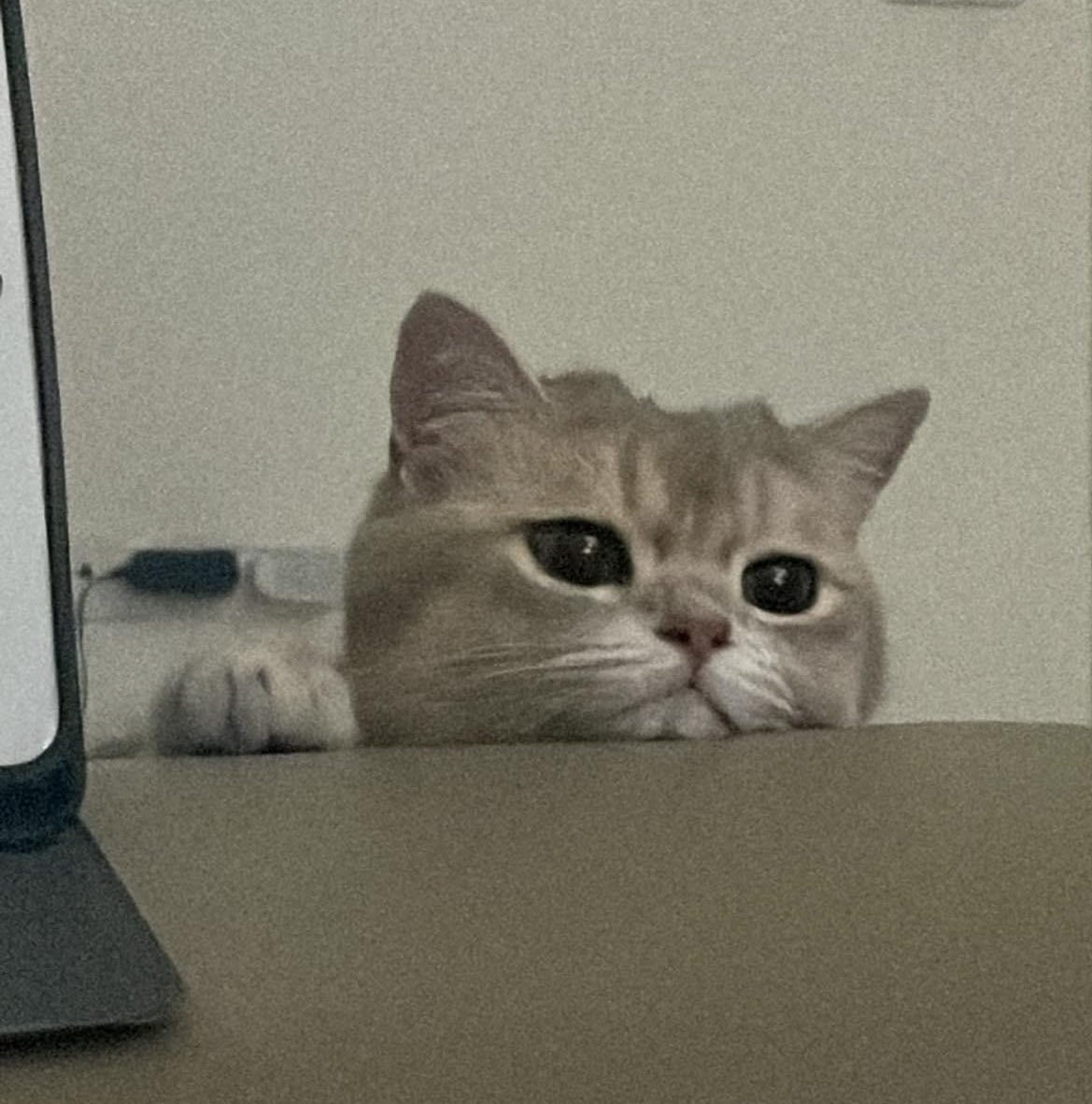 itmydefinition's tweet photo. mood: ไม่อยากทำงานแล้ว อยากกลับบ้าน https://t.co/QNwjdrWeEt