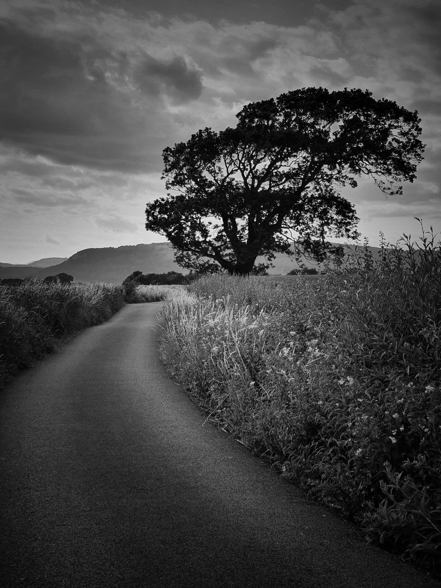 Dog walk. 
#igerscumbria #gloriousbritain #excellent_britain #ordnancesurvey #photography #photosofbrotain  #visualsofearth #epic_captures