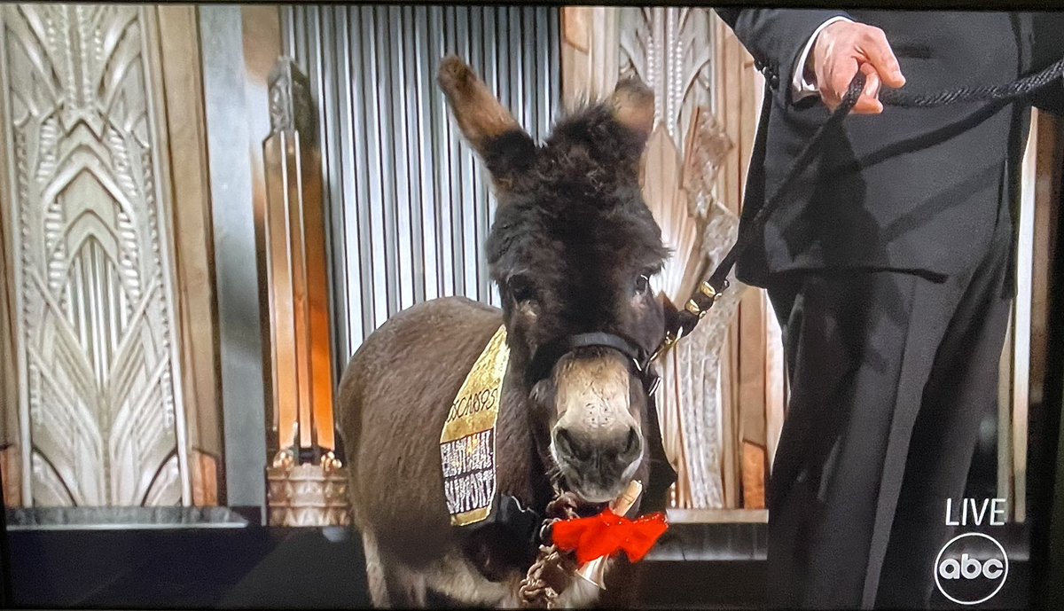 Lisa Fung tweet media