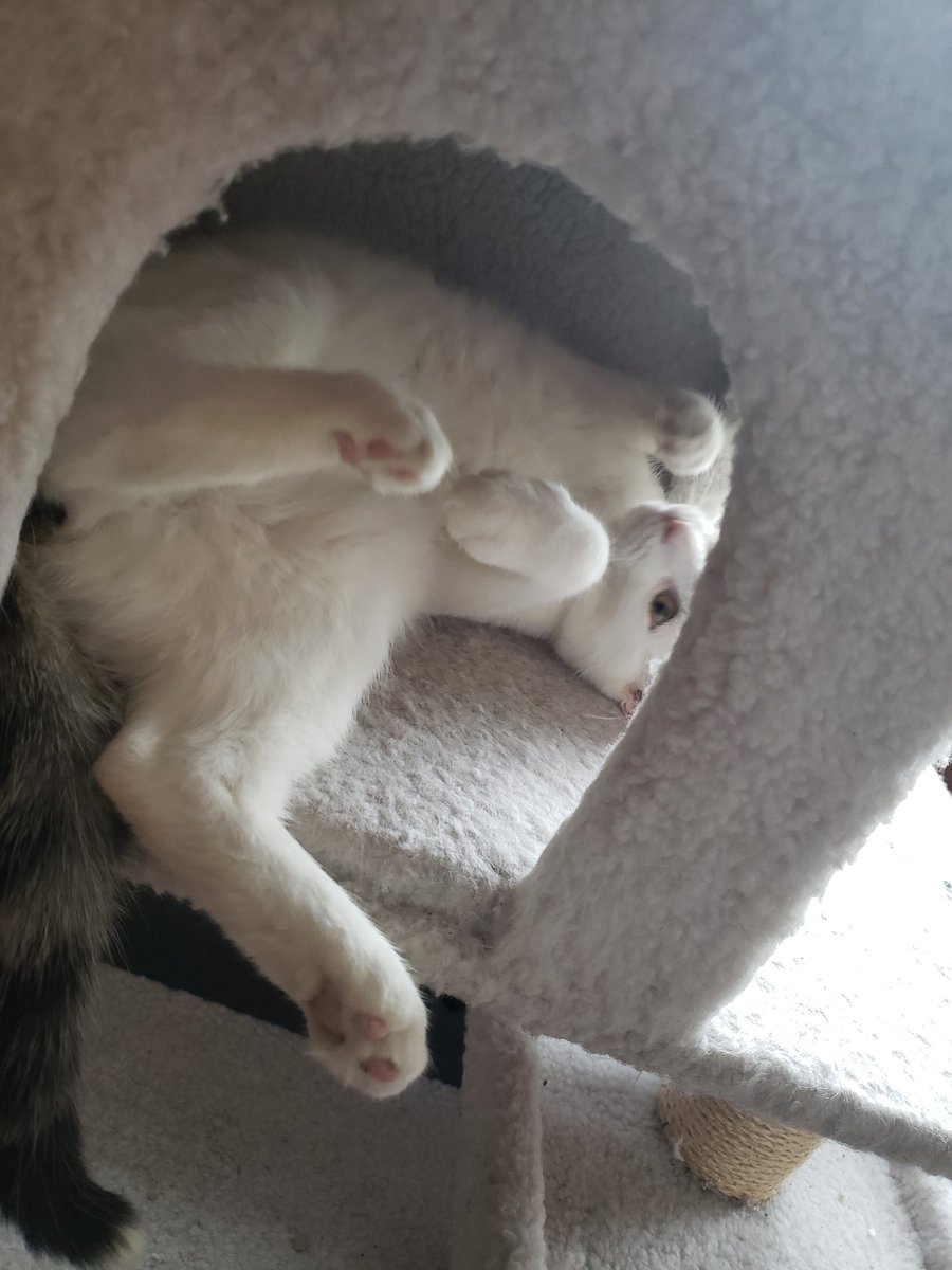 Malice & Mayhem🩵#ZSHQ tweet media