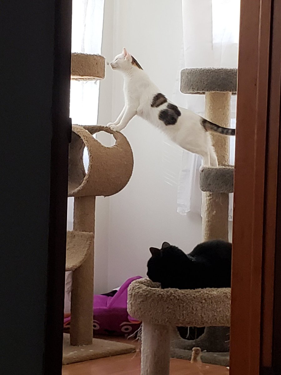 Malice & Mayhem🩵#ZSHQ tweet media