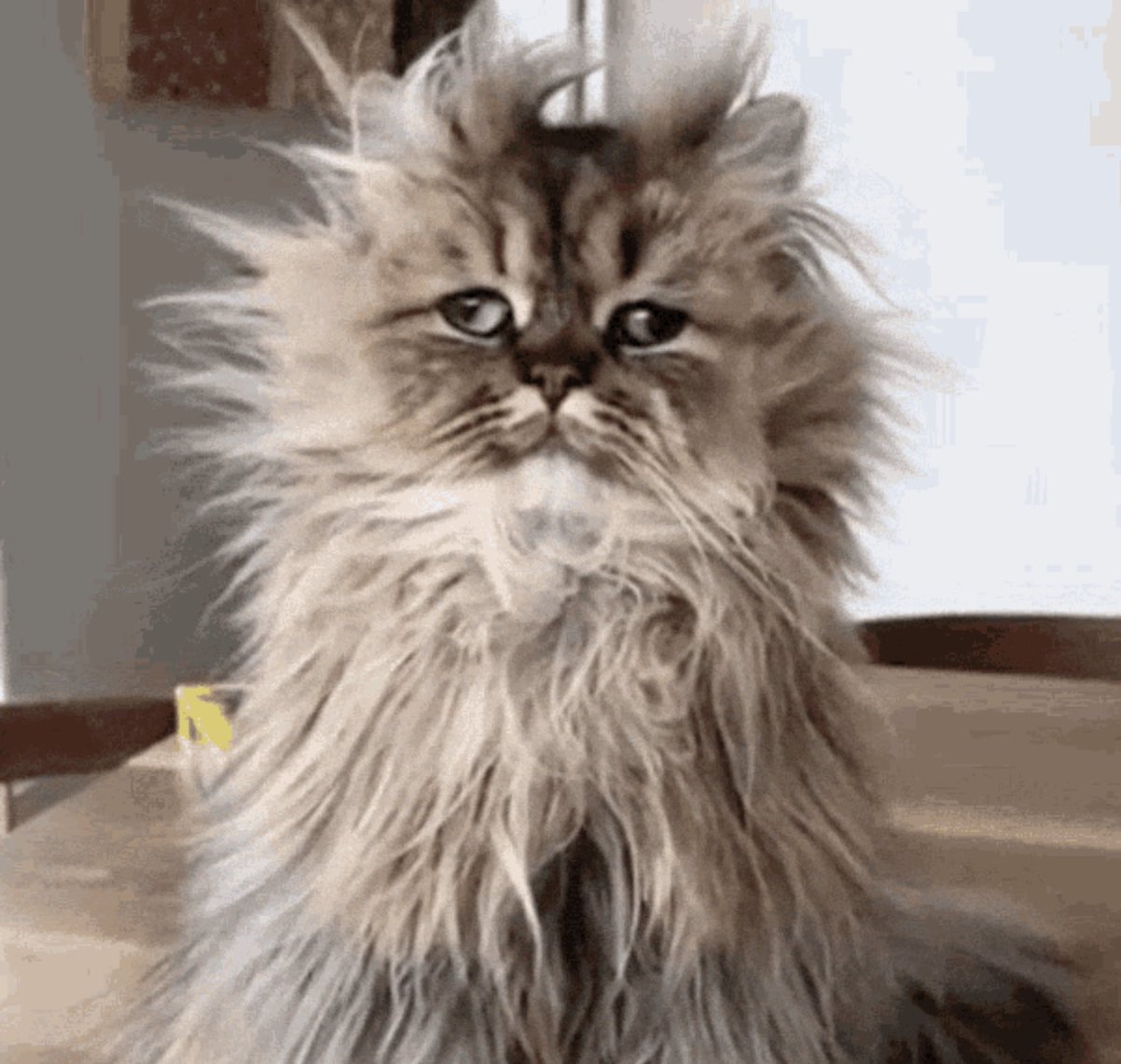 In six words or fewer, write a story about this photo.
#sixwordstory #WritingCommmunity