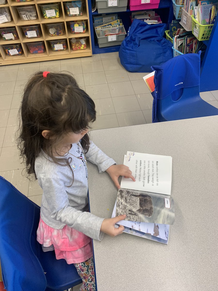 MrsFerrari2's tweet photo. Exploring non fiction books 📚 https://t.co/1L7a75BNr5