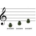Photo by Wholesome Music Notation (@WholesomeNote)