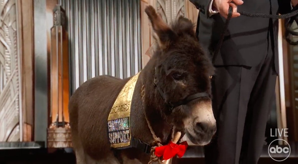 RT @conor__sheeran: Get someone that looks at you the way Colin Farrell looks at Jenny the Donkey. #Oscars https://t.co/8DsACorSx3