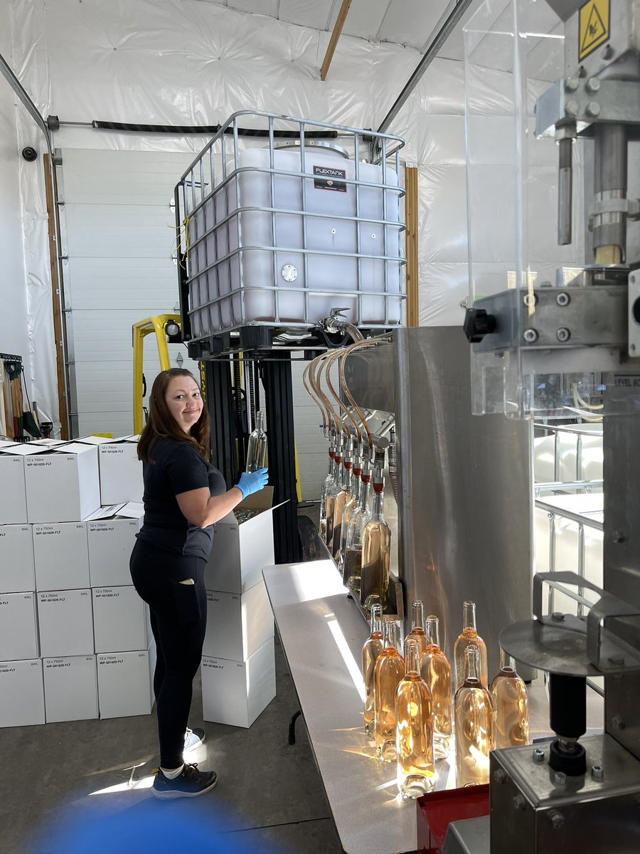 LibLakeWine's tweet photo. The ‘22 Rose’ was anointed today. It’s also delicious! @Wa_State_Wine @RedMtnAVA #nowateradded https://t.co/vV4NwjxZBI