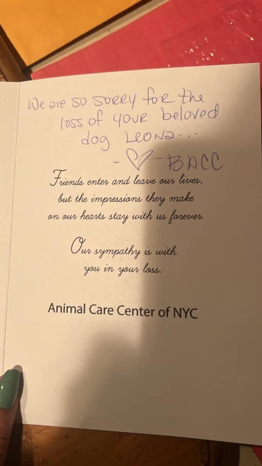 Keith Olbermann's Dogs tweet media