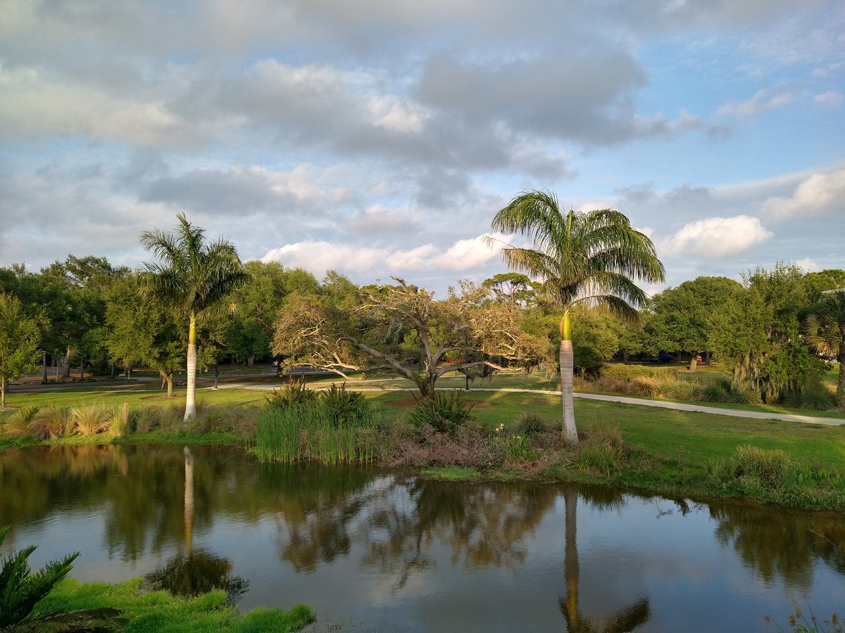 Lifesab5138's tweet photo. #photography #eckerd #stpete #fla https://t.co/UiddyPHMa6