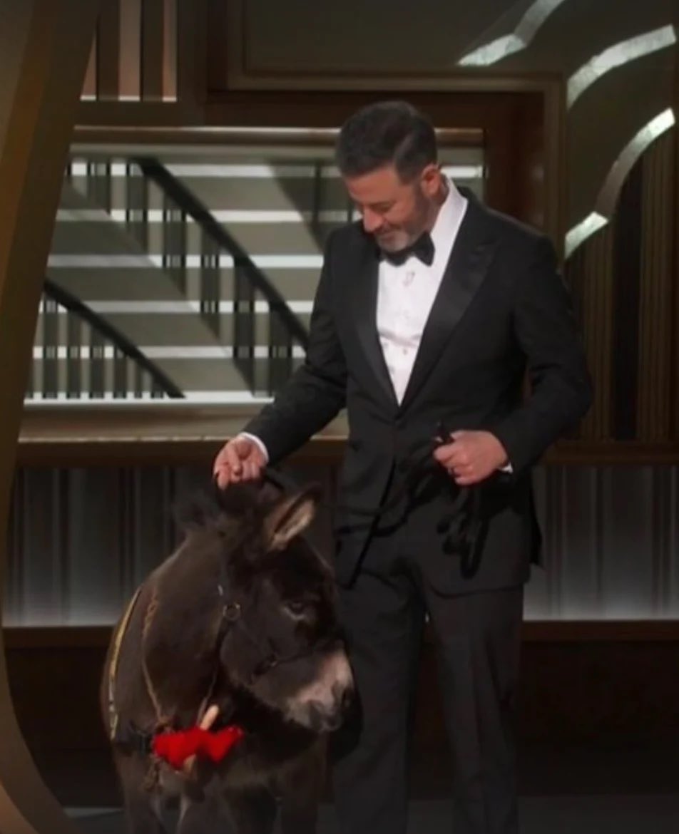 Oscars’ host <a href="/jimmykimmel/">Jimmy Kimmel</a> announced they’re bringing back the old categories, including #AnimalAbuse #Oscars2023