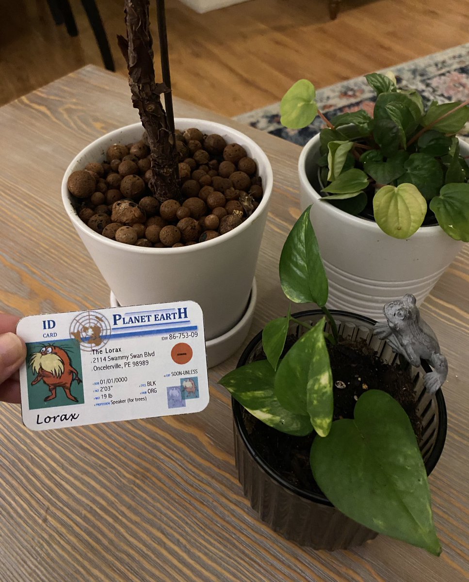 Ella_michalak29's tweet photo. A lot of the plants that are in my house need different things to grow. For example, one of these plants grows best with clay pebbles that improve permeability. Others use potting soil with humus to give the plants nutrients! @franklinlorax #apesland https://t.co/htypjPyJmo