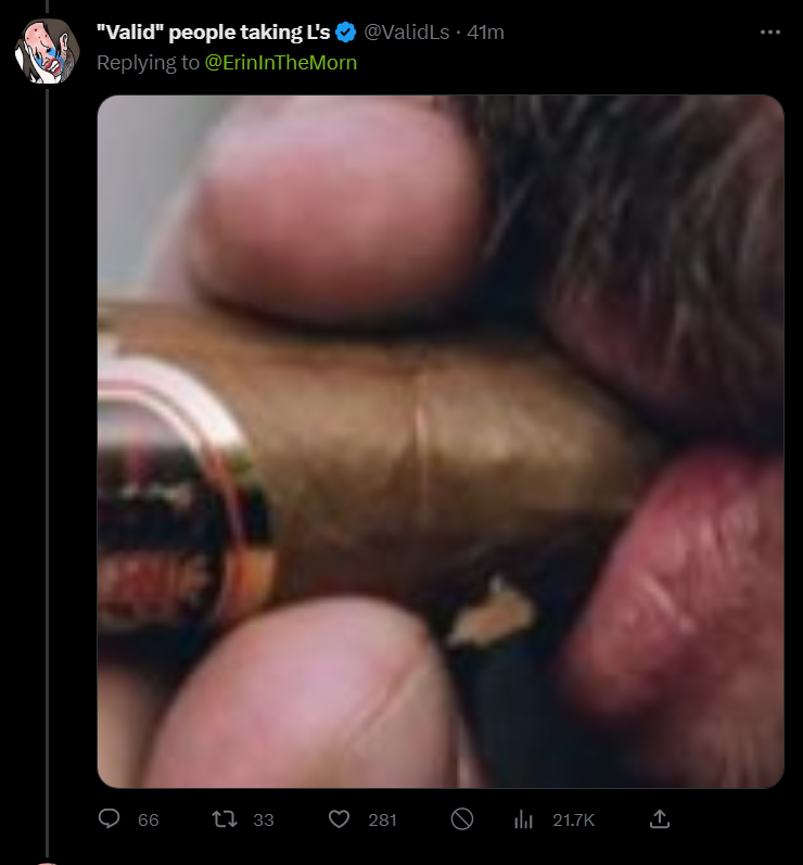 SDL tweet media