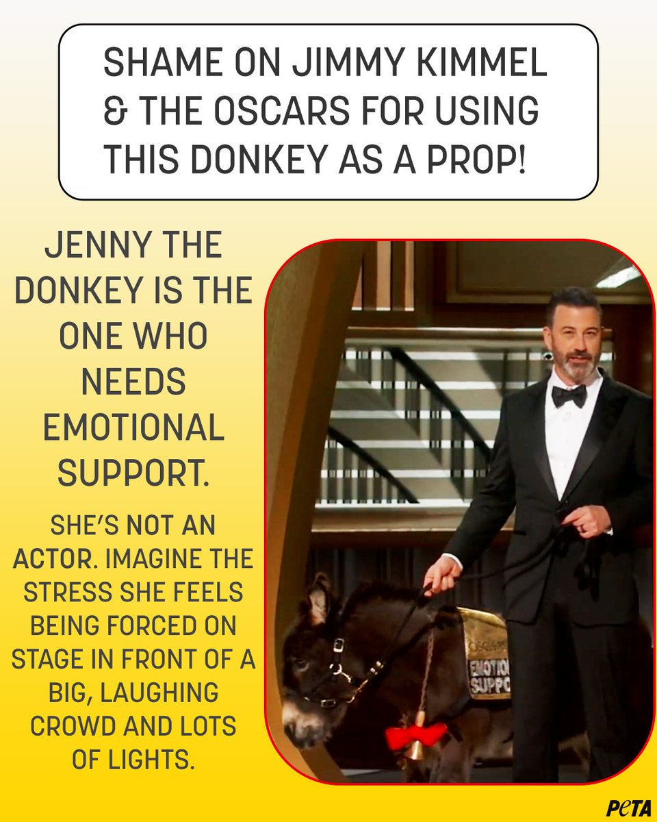 peta's tweet photo. After that experience, Jenny is the one who needs emotional support. She’s a donkey, not an actor @JimmyKimmel and #Oscars. https://t.co/2I70RW3qmU