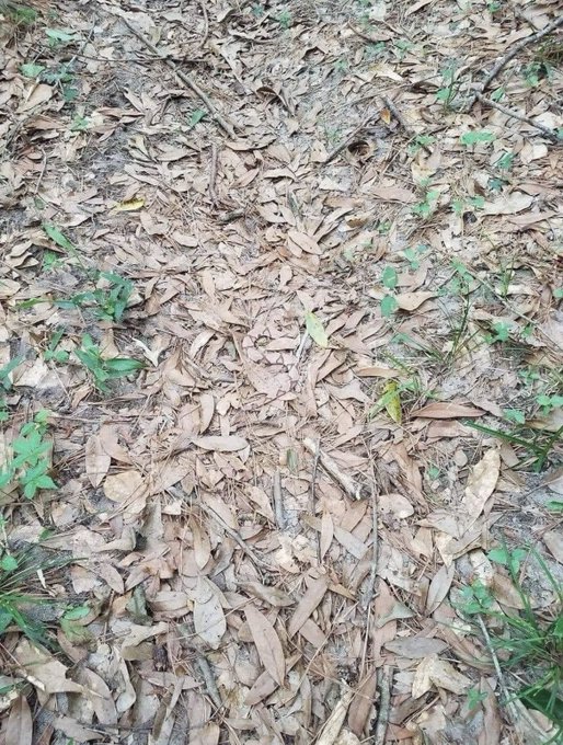 Watch ROMANTODD, LLC's leaked NSFW photo on TwXstars