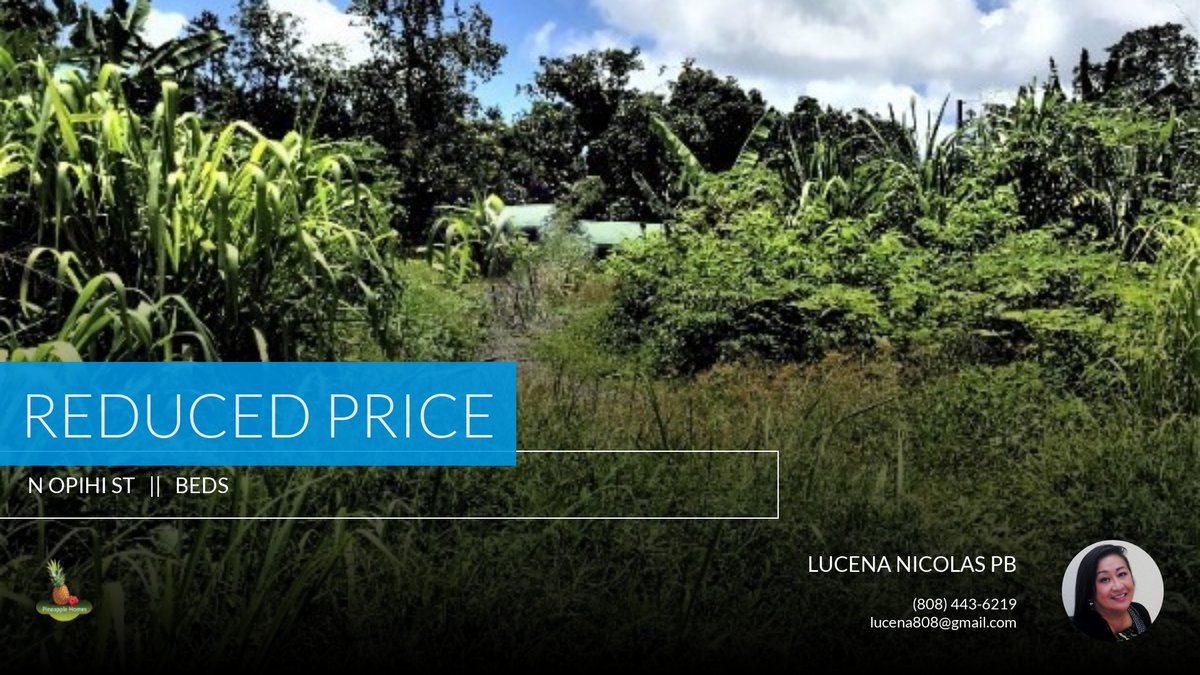pineapplehomes8's tweet photo. 📍 Reduced Price 📍 This recently reduced home at N Opihi St Lot #: 1 in Pahoa won't last long, so, don't wait to set up a showing! Reach out here or at (808) 443-6219 for more information! https://t.co/Ymv7H2B8SZ https://t.co/8N2NUgDcbR