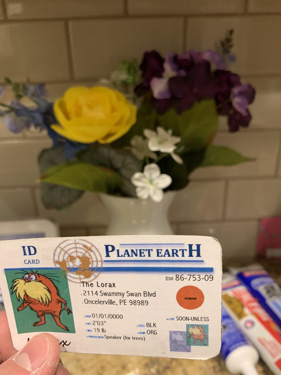 CooperMueller14's tweet photo. Flowers like these require many different things to keep it alive. This includes fertilizer, organic material, and plant soil. @franklinlorax #apesland https://t.co/aXUqJW1CbJ