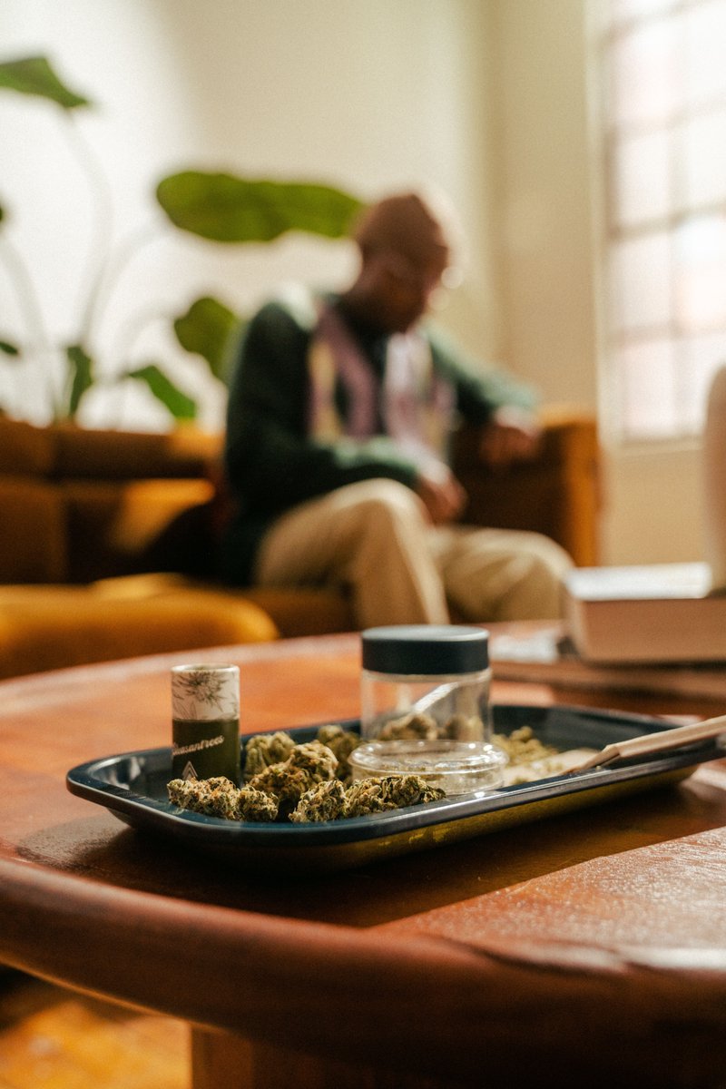 pleasantreesmi's tweet photo. Hand-harvested and hand-trimmed, our premium flower is carefully curated so only that of the highest quality, aroma, structure, and trichome density is selected to be packaged.⁠
⁠
What's your favorite Pleasantrees strain, past or present? ⁠
⁠ https://t.co/otqBTwdHQd