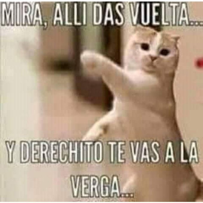 BurroNulo's tweet photo. @LuisGOsejo Azimero https://t.co/3Gz4JPxTDH