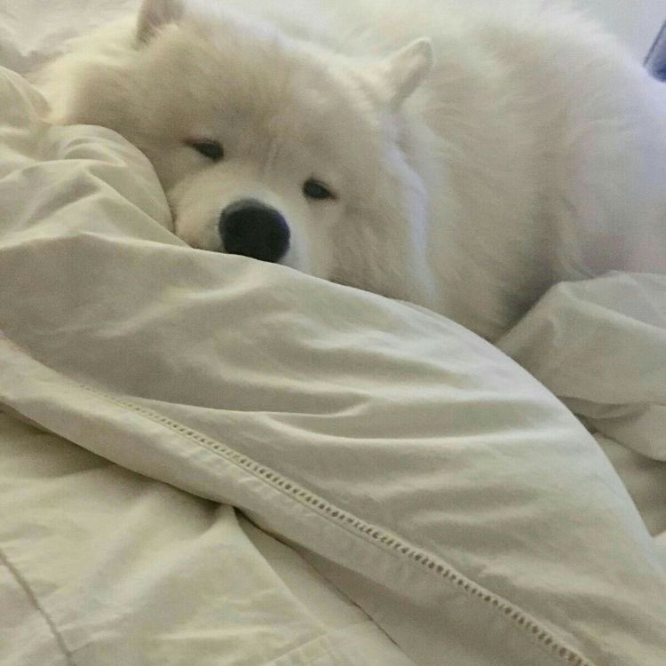 ความรู้สึกตอนนี้ : อยากนอนม้วนในผ้าห่ม