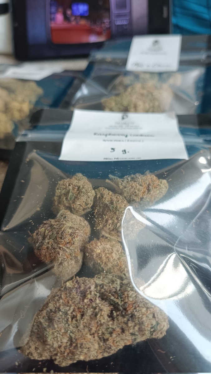 WeedTravel.dao (@smoketravel) on Twitter photo 