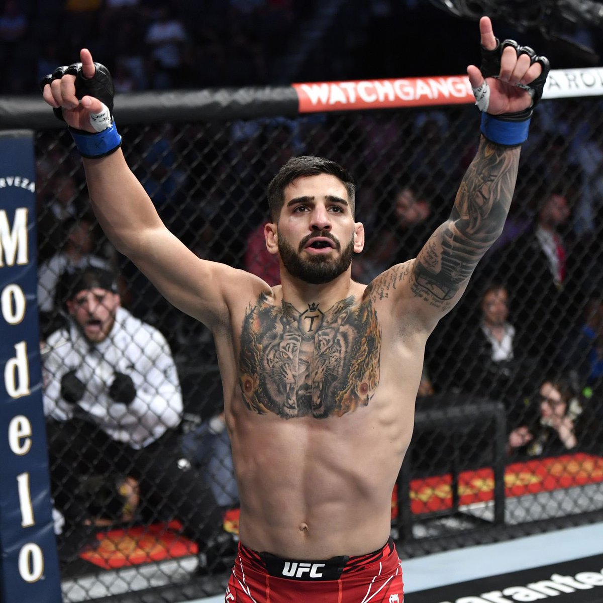 UFCcentral's tweet photo. Ilia Topuria’s UFC career stats so far:

122 Significant Strikes (50%)
101 Significant Strikes absorbed (37%)
5 Takedowns (46%)
TDD: 93%
5 Wins - 3 by KO/TKO, 1 by SUB
Finish Rate: 80% 

Who should he fight next? https://t.co/VbDcUVj0Xz