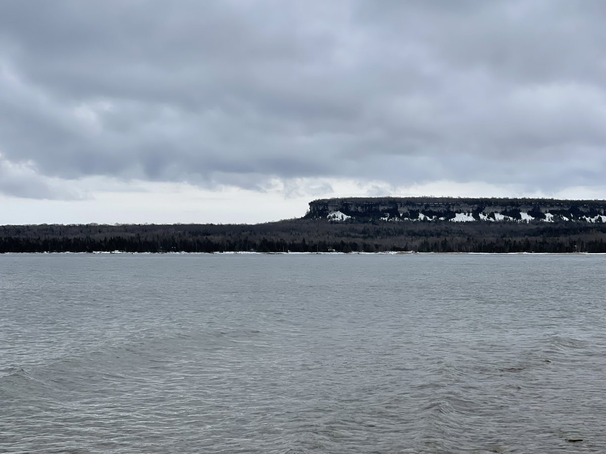 “Been hearing a lot about keeping corridors available for animals and birds. Critters have different paths and we should keep that in mind. Humans aren’t the only creatures that need paths, area to roam and homes.” #aquaman said. #GeorgianBay #whitefish #habitat #pathways