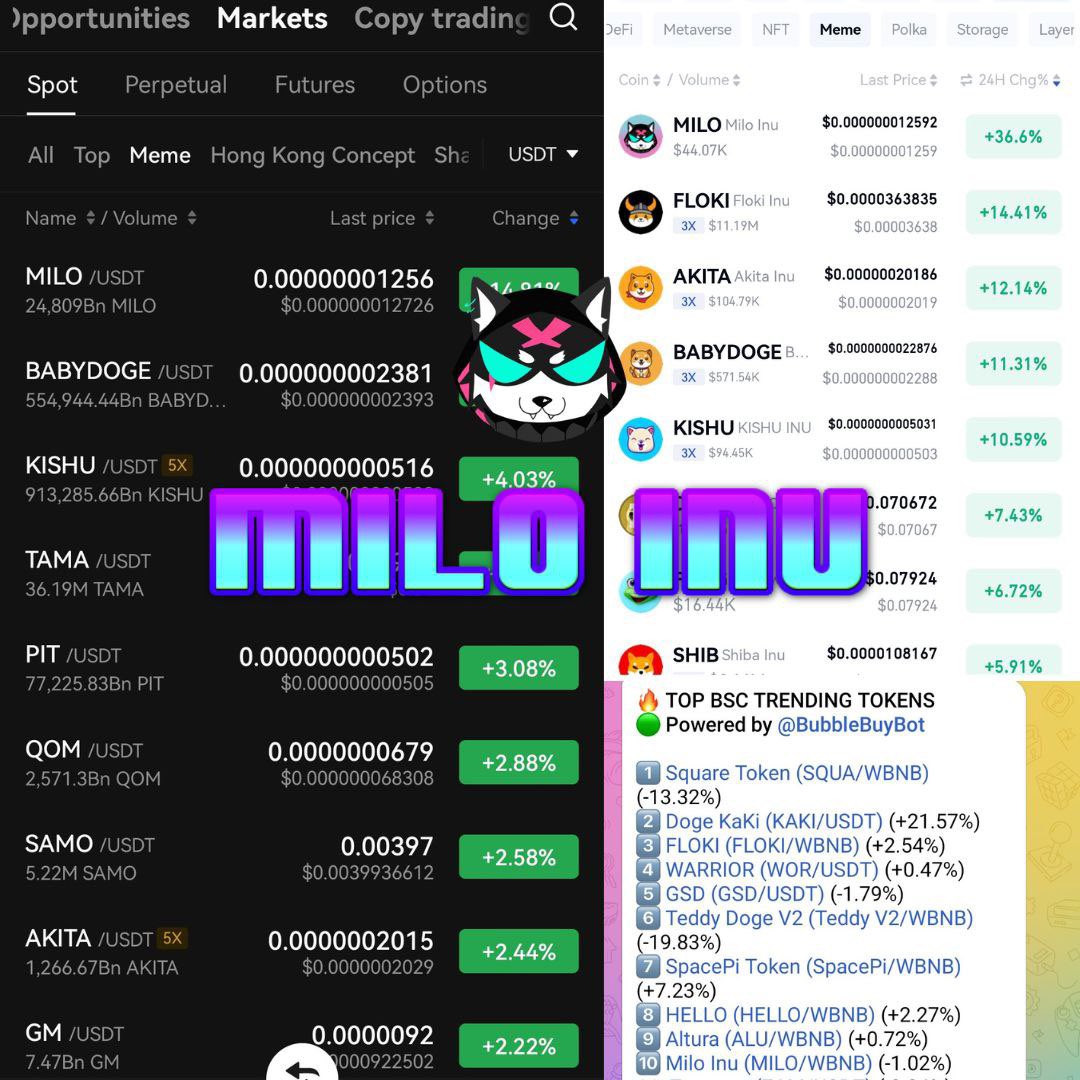 MiloInu's tweet photo. We are very pleased to see that #MiloInu is the TOP MEME on @okx AND @gate_io 📈🚀

We are also trending in the top 10 tokens on #BSC 🙌🔥

Thank you to our amazing community! https://t.co/W7pH3N9Sbq