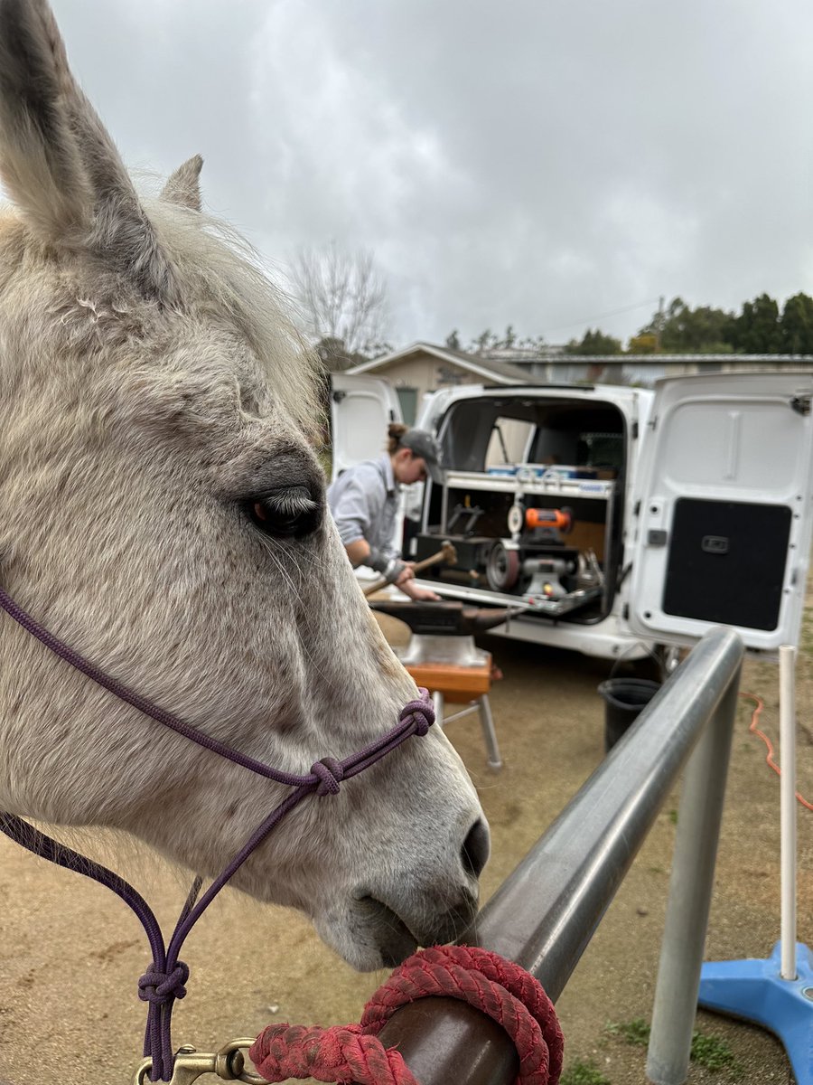 “You have acute tendonitis in your wrist, you need to rest”  - please, I’ve spent 24 years on this Earth and it would just be silly to start taking care of myself NOW. Plus, I wasn’t going to deny Miss Gracie &amp; friends getting their new dancing shoes 🥰