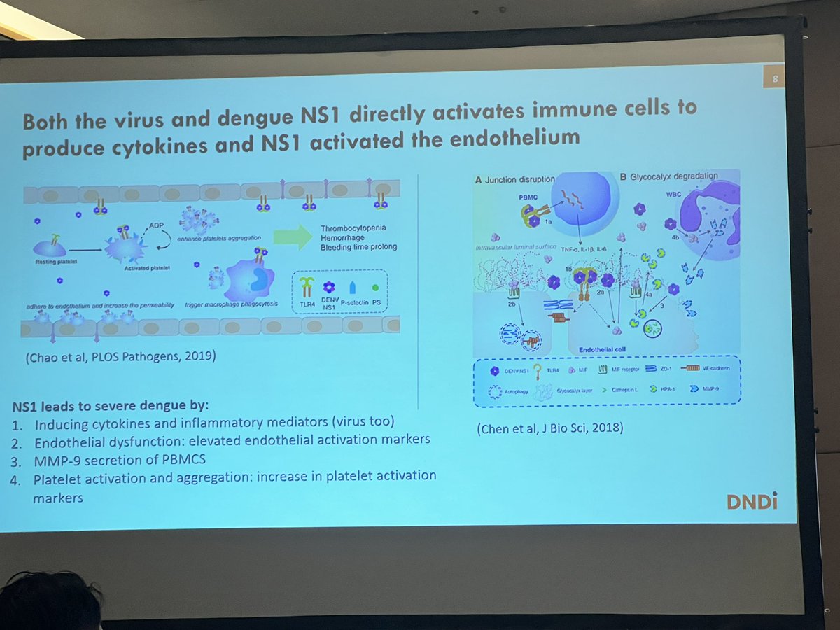 ChowTingSoo's tweet photo. Ns1 and viral load associated with severe dengue . However secondary dengue - nsi cleared faster - den V antibodies immune complexes played role in severe dengue https://t.co/xX3S4TA3bM