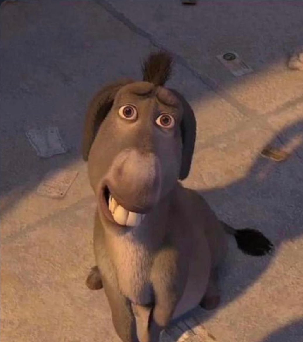 ih8rts's tweet image. pets whenever you have a snack in front of them