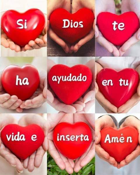 Padre Guillermo Serra LC tweet media