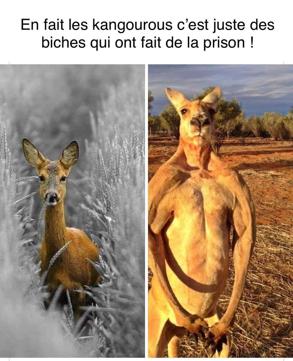 ComplotsFaciles's tweet photo. #NousSachons https://t.co/vKr3ywypRy