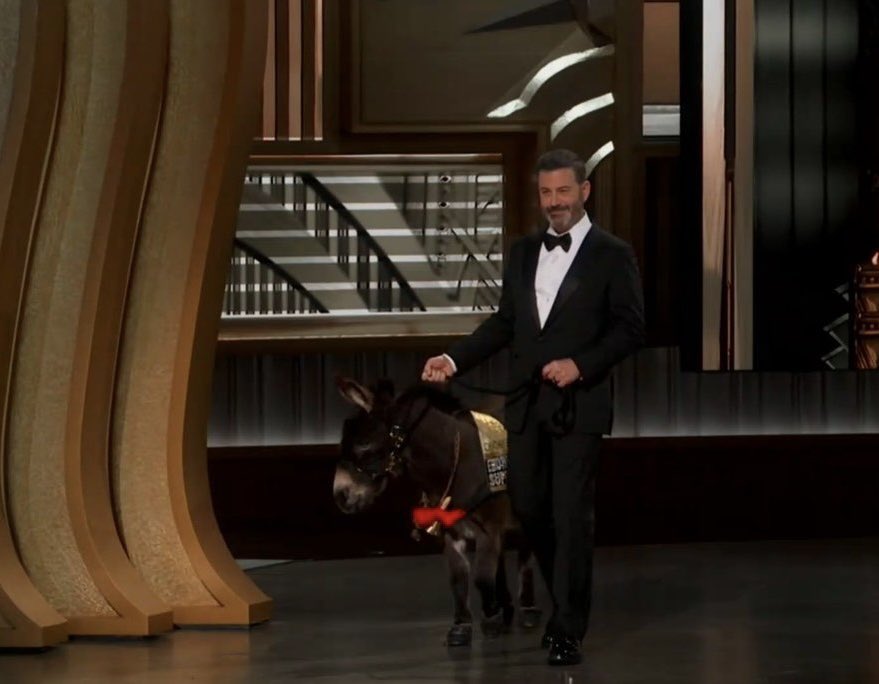 DiscussingFilm's tweet image. Jenny the Donkey didn’t actually appear at the #Oscars, this is just some random donkey.

(Source: trib.al/usQrLG8)