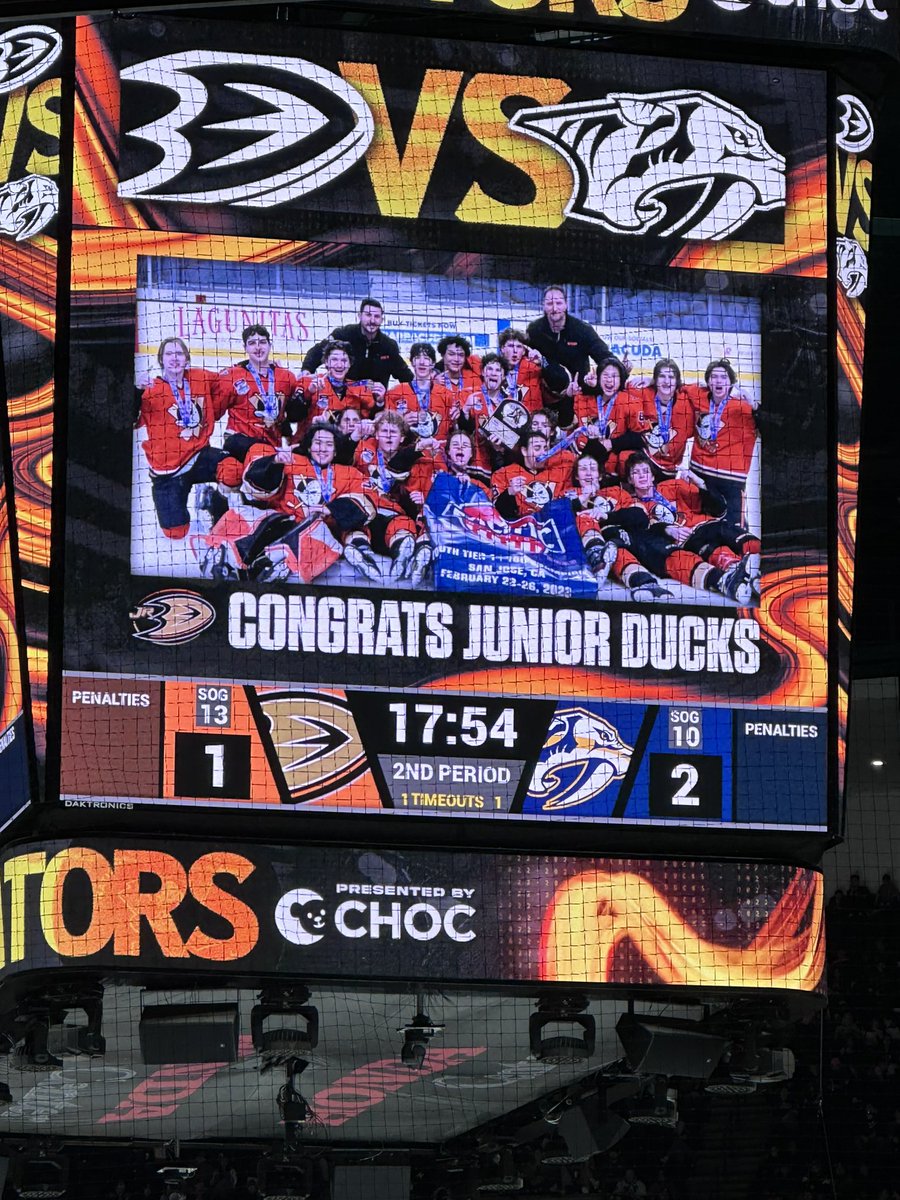 Jr Ducks 18 AAA tweet media