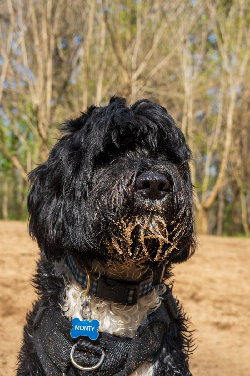 Rab Wyant 〄 (@rabwyant) on Twitter photo 