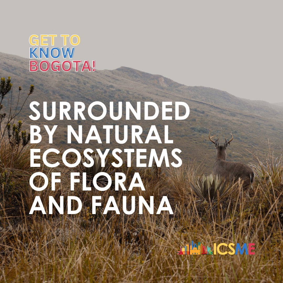 IEEE ICSME 2026 tweet media