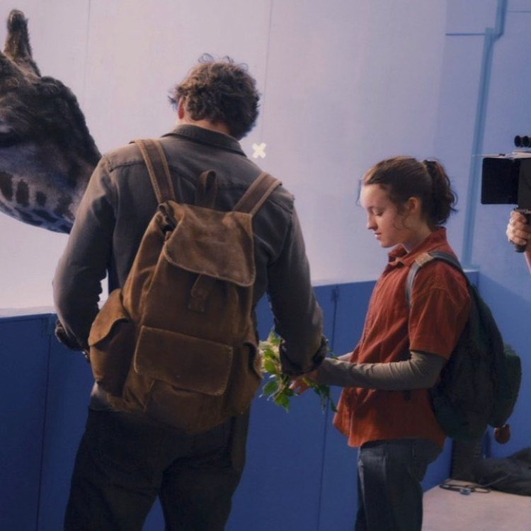 PortalTLOU's tweet photo. 🚨 INCRÍVEL! Pedro e Bella filmaram com GIRAFA DE VERDADE a cena do 9º episódio de #TheLastOfUs 🦒

HBO é HBO https://t.co/O88ZgKGsD4