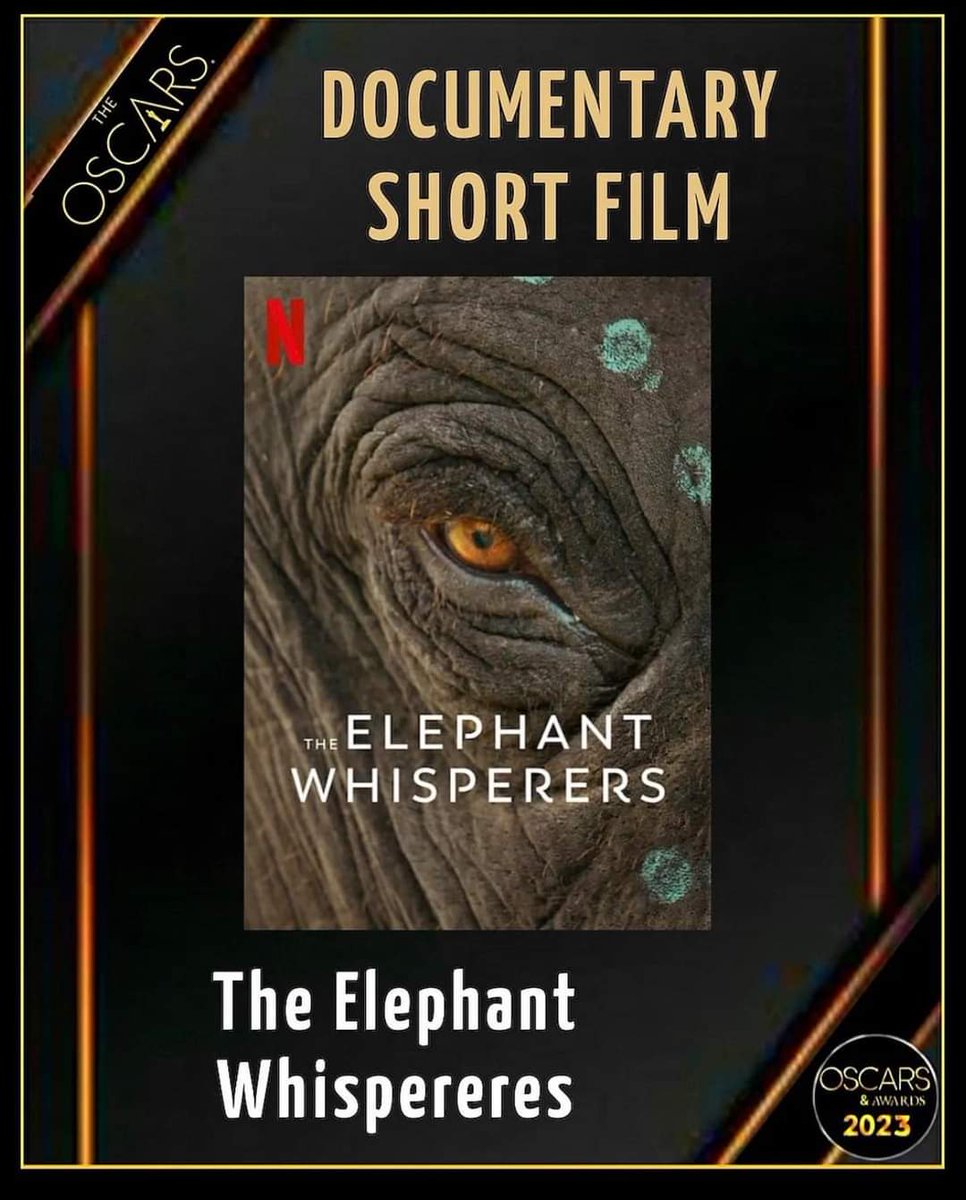 vibesvinery's tweet photo. #TheElephantWhisperers wins #OSCARS for the Best Documentary Short Film. 👌👌

Streaming on @NetflixIndia https://t.co/toGEiByh9d