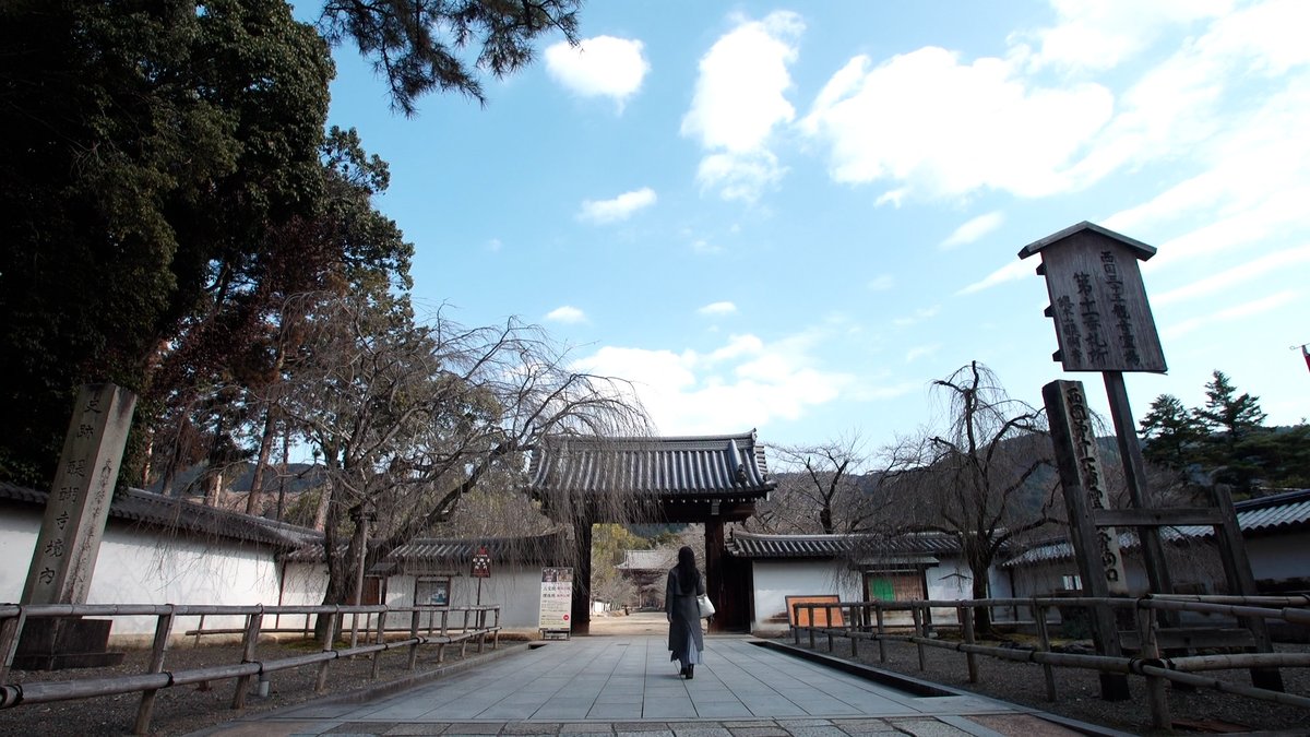abc_kokoiro's tweet photo. #平安時代 に創建された #醍醐寺。境内にある #雨月茶屋 では醍醐寺ならではの料理 #一味膳 がいただけます。#精進料理 がベースになっていて中でも #名物 は #湯葉 で #竹の子 や #シイタケ を包んだ #竹の子すもし です。3月13日月曜日の #ココイロ はよる9時50分から。#京都 #ABCテレビ #トミーズ雅 https://t.co/eeBi4nuoL5