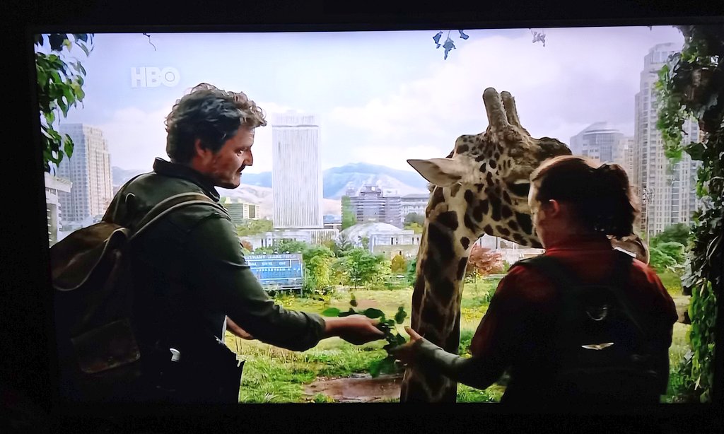 EduLima_07's tweet photo. Já quero a temporada 2!! Série foda demais!!
#TheLastOfUs https://t.co/YwC8ouTKrM