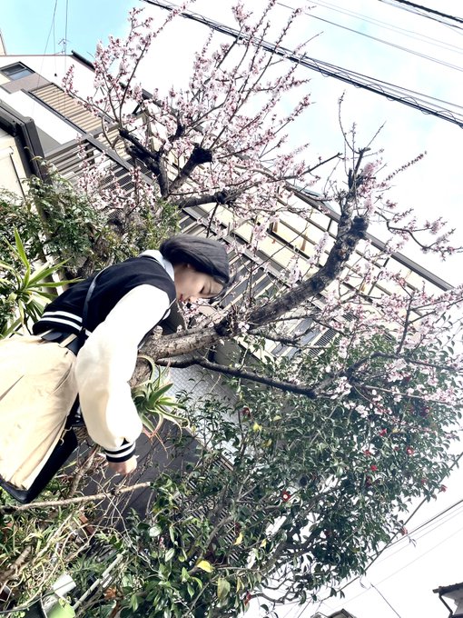 Twitterのコスプレ画像14