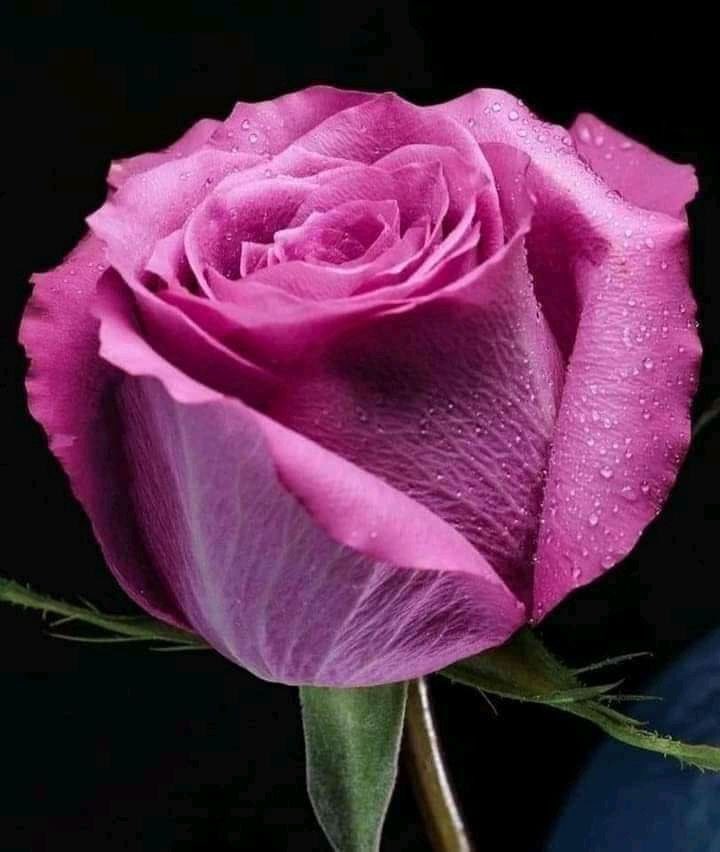 احسان (@1ehsan33) on Twitter photo 