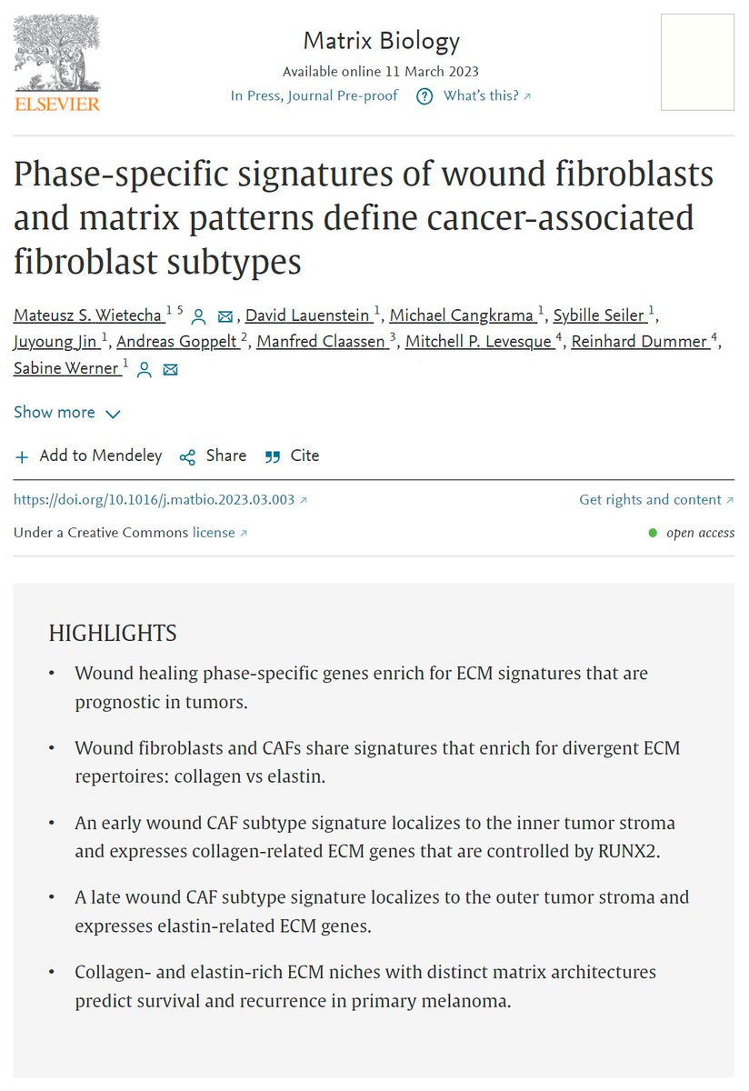 DrMatWietecha's tweet photo. I am so happy to announce that our latest manuscript has been accepted in Matrix Biology and the pre-proof version is now online! 
https://t.co/ro3P3hVtIV

Thank you to my colleagues @WernerLabETH (@MCangkrama, @jin_juyoung, David &amp; Sybille) and collaborators at @skintegrityCH! https://t.co/pLYr5gBAmm